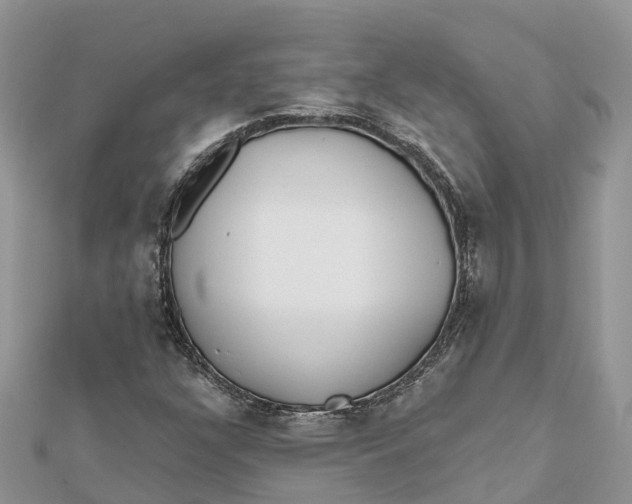 X0000112181304200908281352