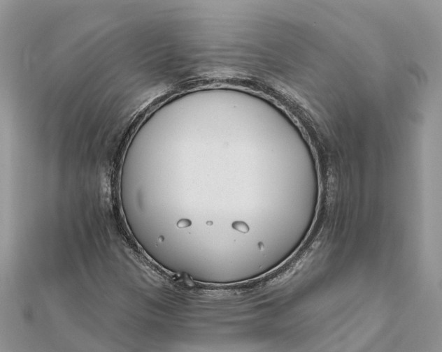 X0000112181305200908281352