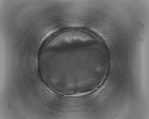 X0000112181306200908281352