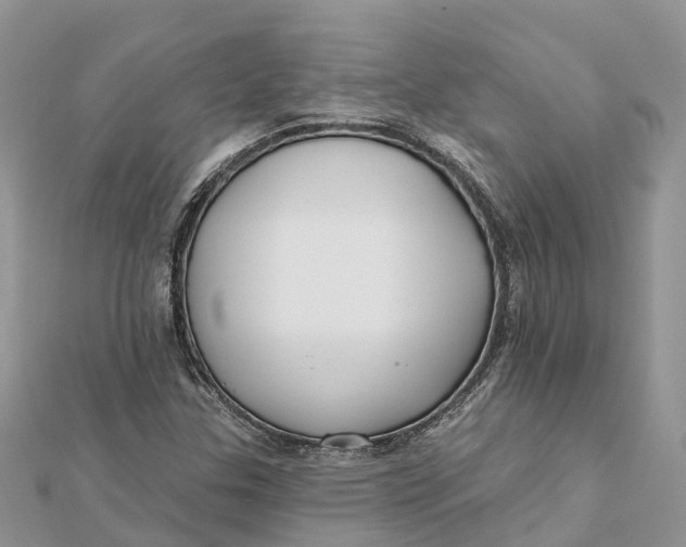 X0000112181307200908281352