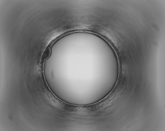 X0000112181308200908281352