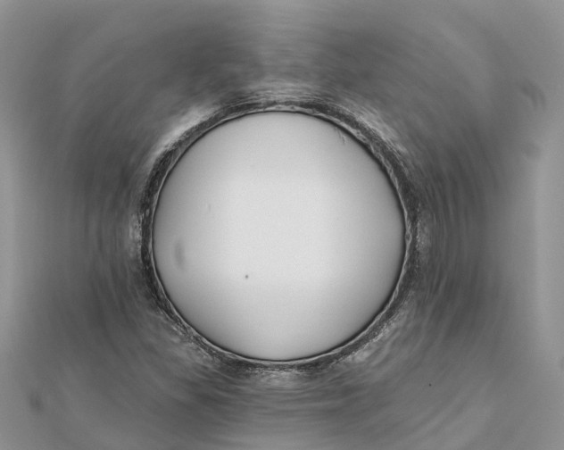 X0000112181309200908281352