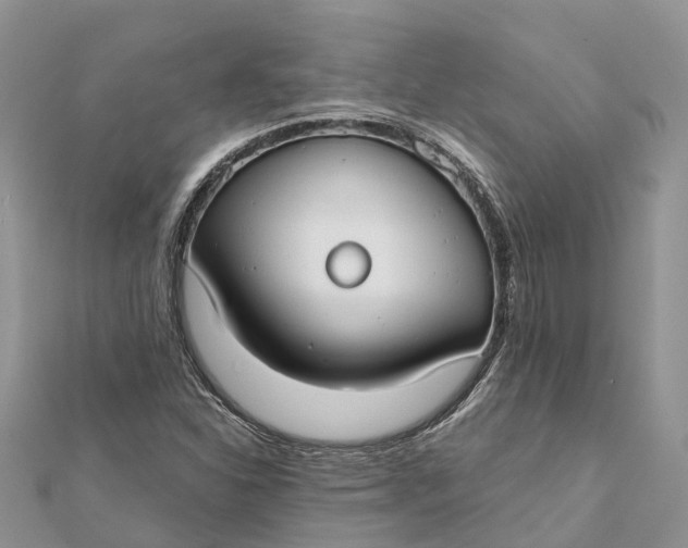 X0000112181310200908281352