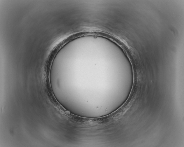 X0000112181311200908281352