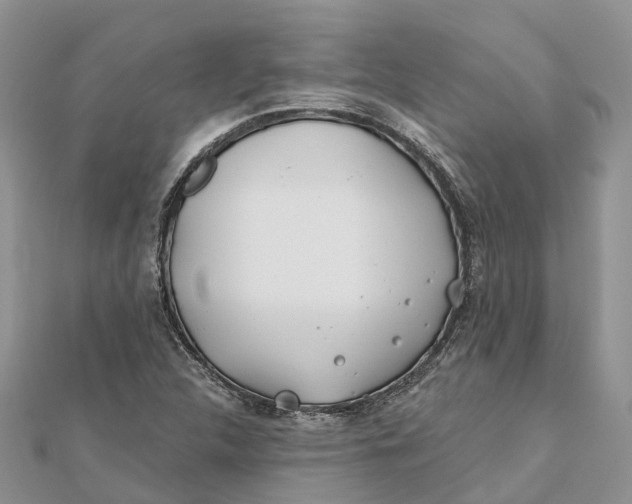 X0000112181312200908281352