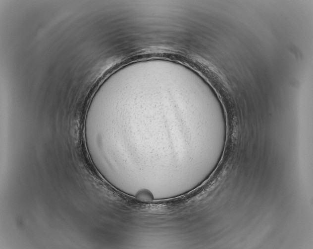 X0000112181313200908281352