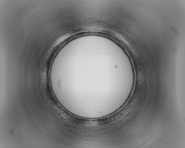 X0000112181315200908281352