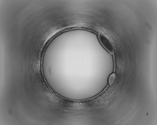 X0000112181316200908281352