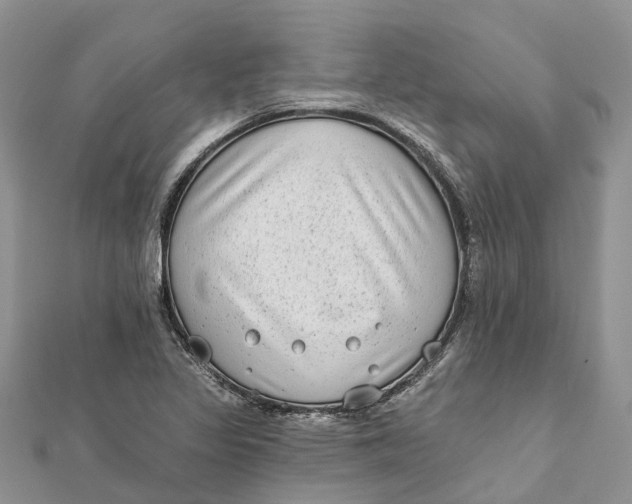 X0000112181317200908281352