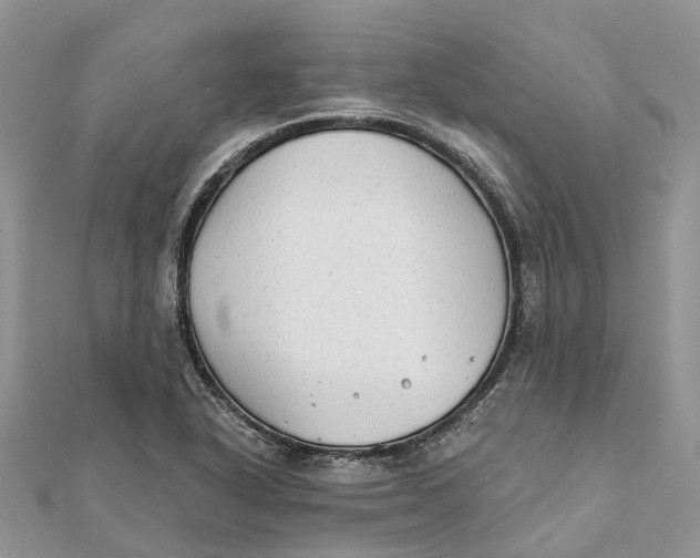 X0000112181318200908281352