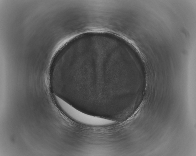 X0000112181319200908281352