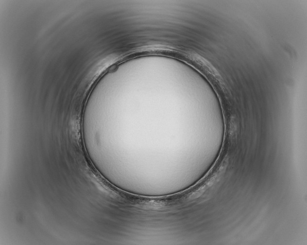 X0000112181321200908281353