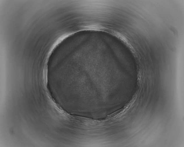 X0000112181323200908281353