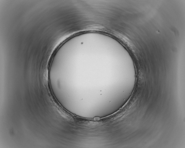 X0000112181324200908281353