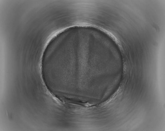 X0000112181327200908281353