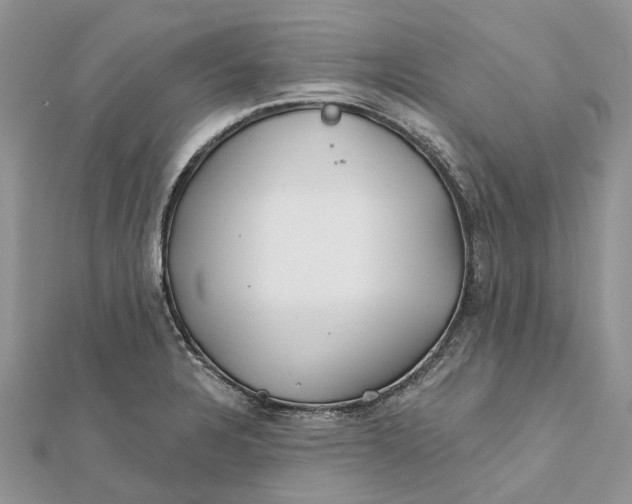 X0000112181328200908281353