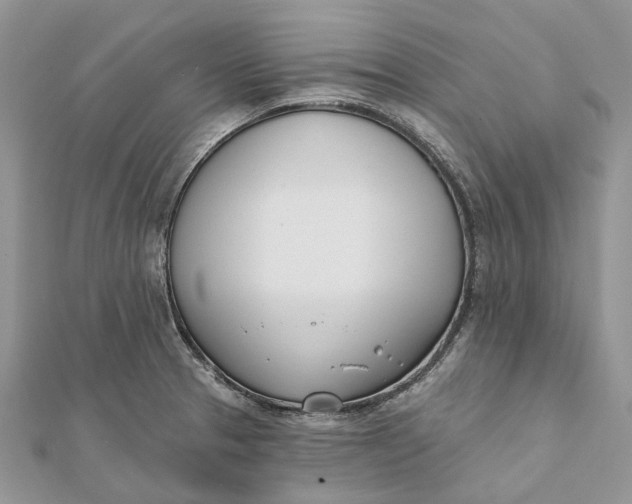 X0000112181329200908281353