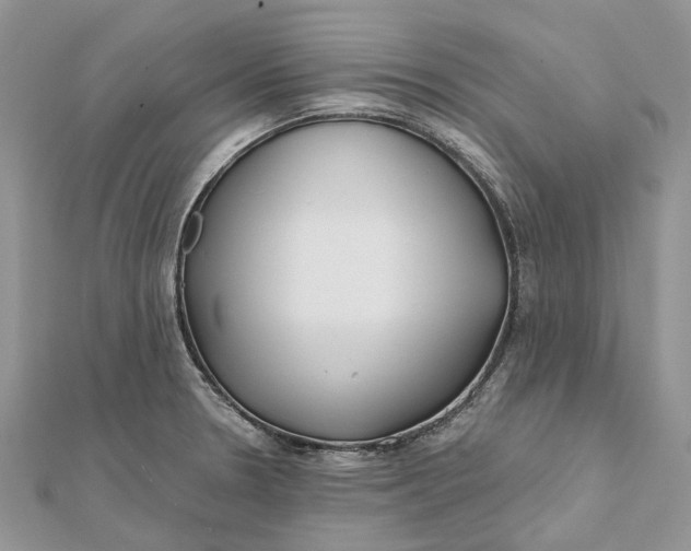 X0000112181330200908281353