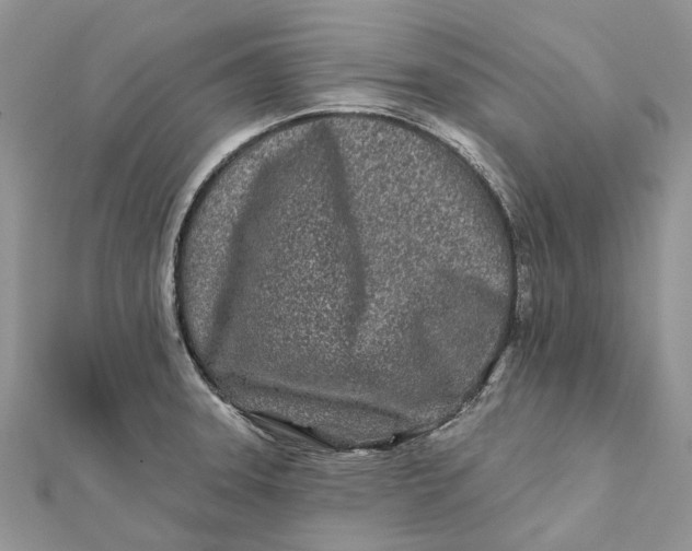 X0000112181331200908281353