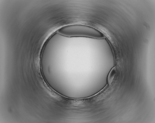 X0000112181332200908281353