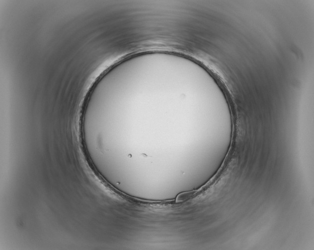 X0000112181333200908281353