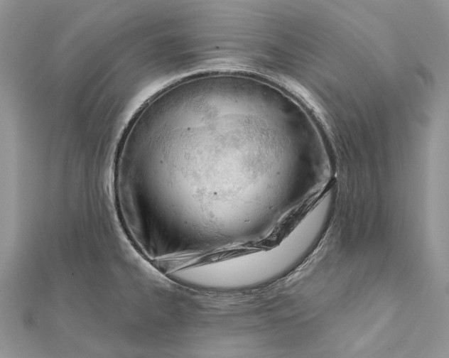 X0000112181334200908281353