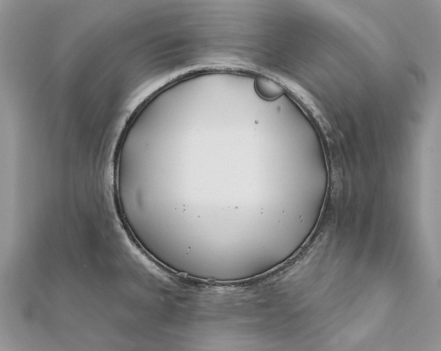 X0000112181335200908281353