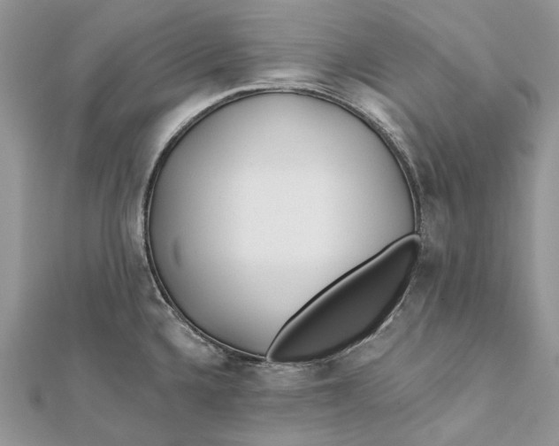 X0000112181336200908281353