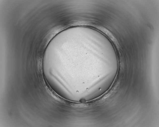 X0000112181337200908281353