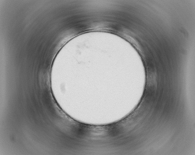 X0000112181338200908281353