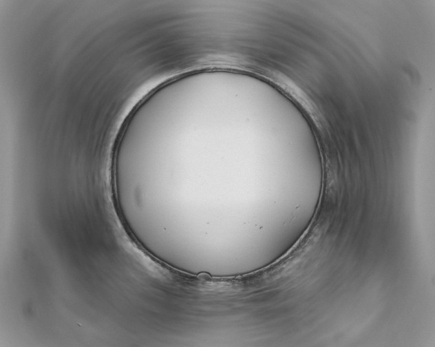 X0000112181339200908281353