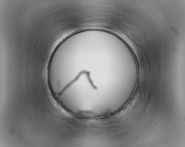 X0000112181341200908281353