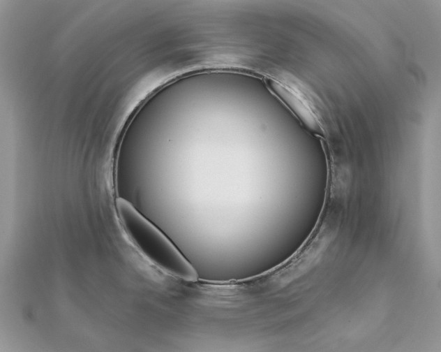 X0000112181342200908281353