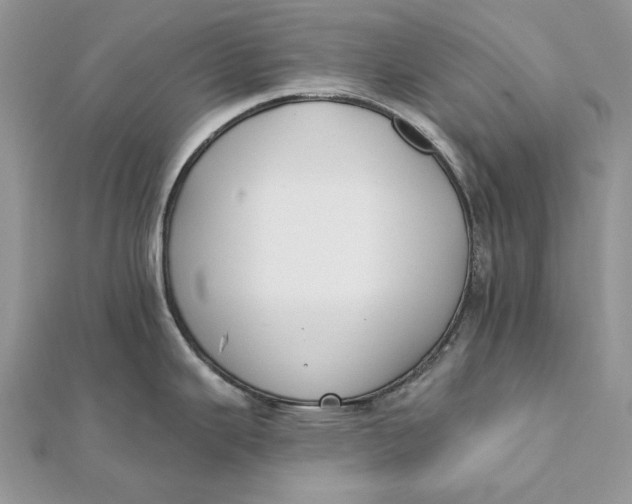 X0000112181343200908281353