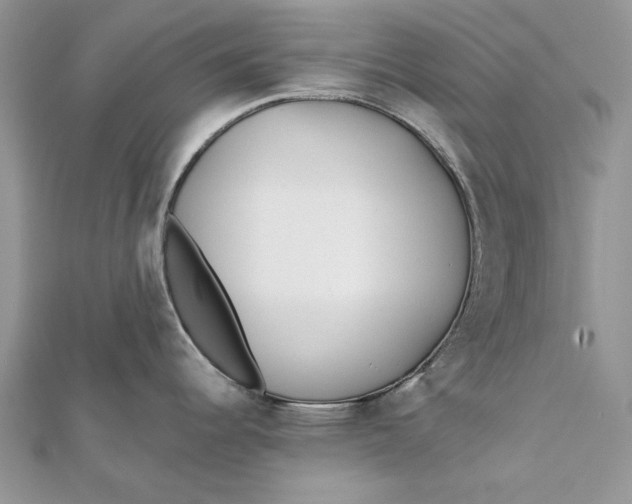 X0000112181344200908281353