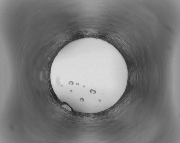 X0000112181345200908281352