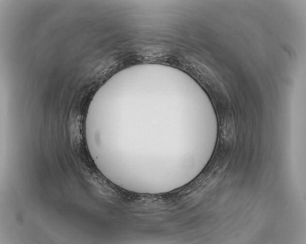 X0000112181346200908281352