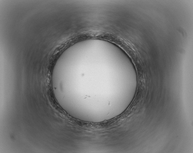 X0000112181349200908281352