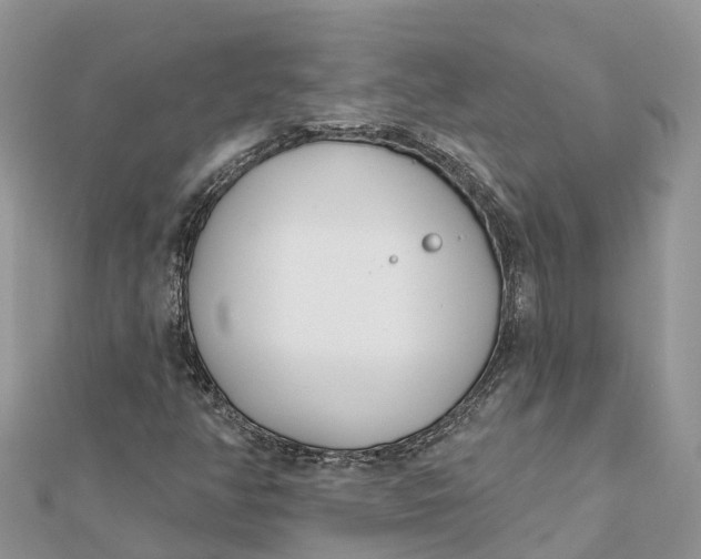 X0000112181350200908281352