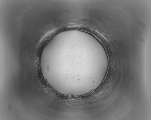 X0000112181351200908281352