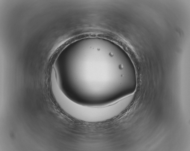 X0000112181352200908281352