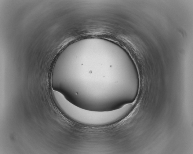 X0000112181353200908281352