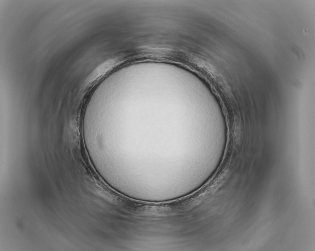 X0000112181354200908281352