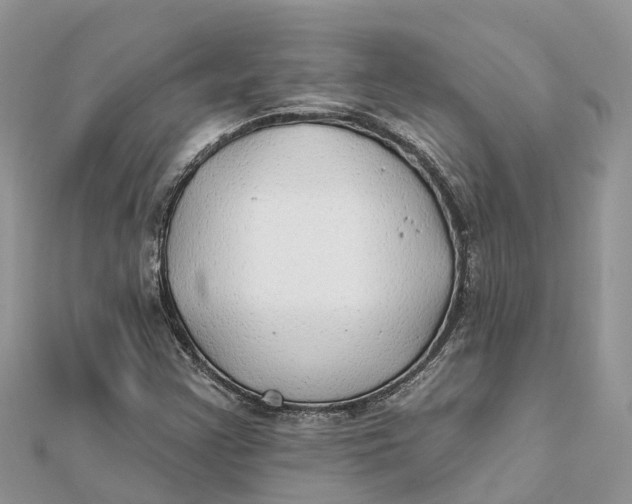 X0000112181355200908281352