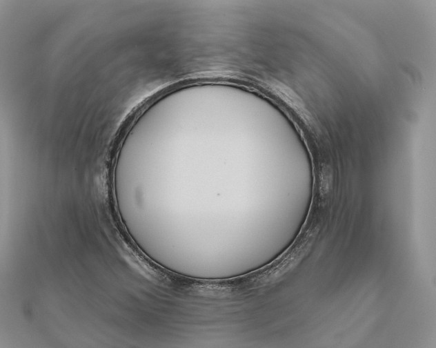 X0000112181356200908281352