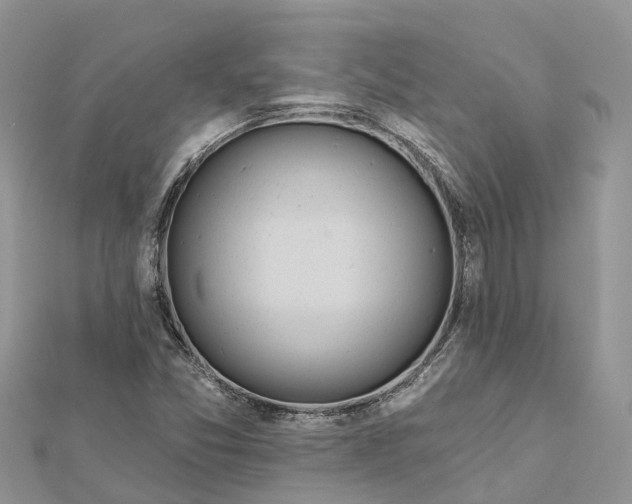 X0000112181357200908281352