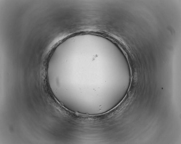 X0000112181359200908281352