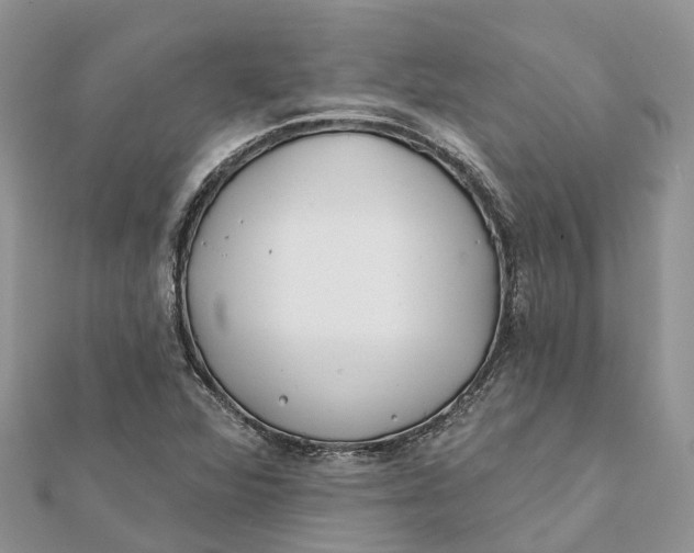 X0000112181360200908281352