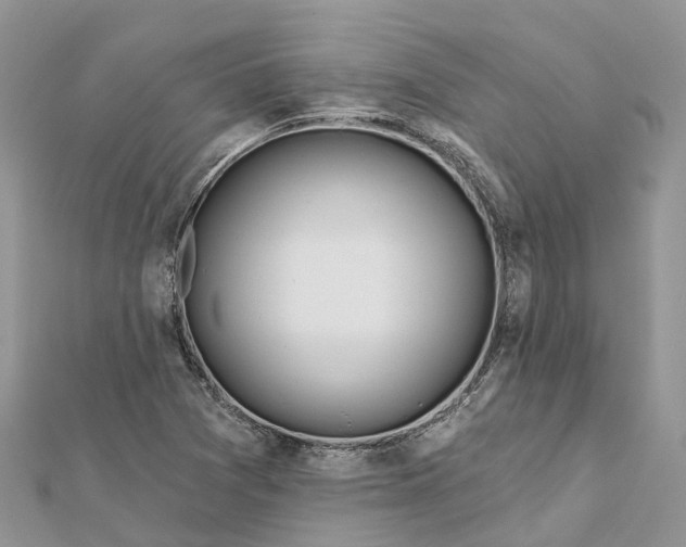 X0000112181361200908281352