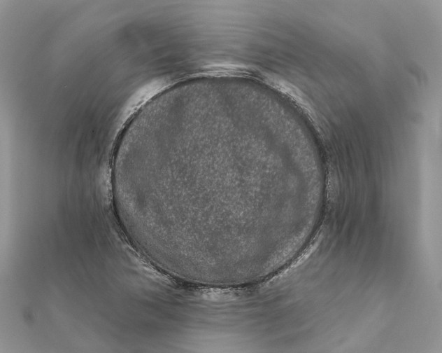 X0000112181362200908281352